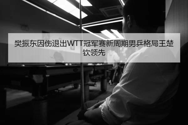樊振东因伤退出WTT冠军赛新周期男乒格局王楚钦领先