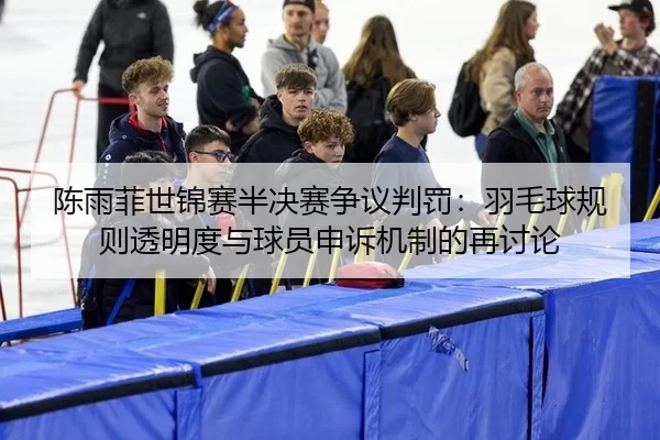 chen-yu-fei-shi-jin-sai-ban-jue-sai-zheng-yi-pan-fa-yu-mao-qiu-gui-ze-tou-ming-du-yu-qiu-yuan-shen-su-ji-zhi-de-zai-tao-2-213.jpg